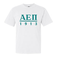 Load image into Gallery viewer, Alpha Epsilon Pi Comfort Colors T-Shirt - AEPI Lettered Basic Shirt - Kite and Crest