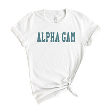 Load image into Gallery viewer, Alpha Gamma Delta T-shirt - Alpha Gam (AGD) Blue Retro Tee - Kite and Crest