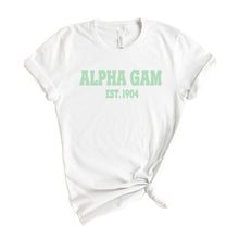 Load image into Gallery viewer, Alpha Gamma Delta T-shirt - Alpha Gam (AGD) Sporty Established Tee - Kite and Crest