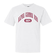 Load image into Gallery viewer, Alpha Gamma Rho Comfort Colors T-Shirt - AGR Large Athletic Shirt - Kite and Crest