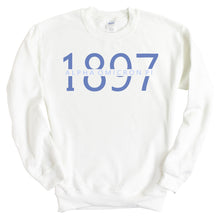 Load image into Gallery viewer, Alpha Omicron Pi Sweatshirt - AOPI Year Crewneck Sweatshirt - Kite and Crest