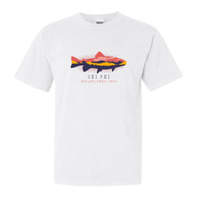 Load image into Gallery viewer, Chi Phi Comfort Colors T-Shirt - Chi Phi Fishing Shirt - Kite and Crest