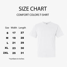 Load image into Gallery viewer, Delta Sigma Phi Comfort Colors T-Shirt - Delta Sig Basic Lined Shirt - Kite and Crest