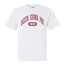 Load image into Gallery viewer, Delta Sigma Phi Comfort Colors T-Shirt - Delta Sig Large Athletic Shirt - Kite and Crest
