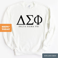 Load image into Gallery viewer, Delta Sigma Phi Sweatshirt - Delta Sig Fraternal Block Crewneck Sweatshirt - Kite and Crest