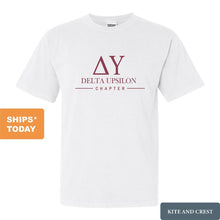 Load image into Gallery viewer, Delta Upsilon Comfort Colors T-Shirt - DU Basic Lined Shirt - Kite and Crest