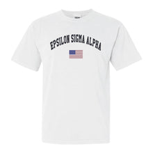 Load image into Gallery viewer, Epsilon Sigma Alpha Traditional Flag Comfort Colors T-Shirt - Kite and Crest