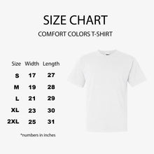 Load image into Gallery viewer, Phi Beta Sigma Black Letter Comfort Colors T-Shirt - Fraternity Tee - Kite and Crest