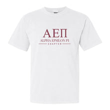 Load image into Gallery viewer, Alpha Epsilon Pi Comfort Colors T-Shirt - AEPI Basic Lined Shirt - Kite and Crest
