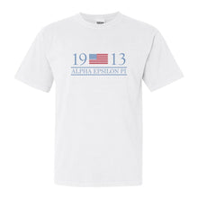 Load image into Gallery viewer, Alpha Epsilon Pi Comfort Colors T-Shirt - AEPI Flag Year Shirt - Kite and Crest
