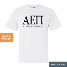 Load image into Gallery viewer, Alpha Epsilon Pi Comfort Colors T-Shirt - AEPI Fraternal Block Shirt - Kite and Crest

