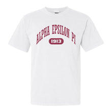 Load image into Gallery viewer, Alpha Epsilon Pi Comfort Colors T-Shirt - AEPI Large Athletic Shirt - Kite and Crest
