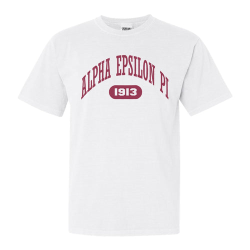Alpha Epsilon Pi Comfort Colors T-Shirt - AEPI Large Athletic Shirt - Kite and Crest
