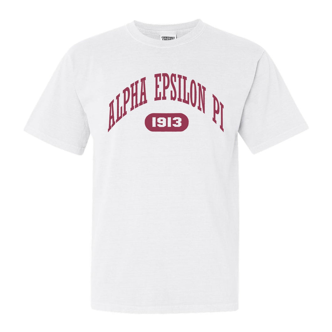 Alpha Epsilon Pi Comfort Colors T-Shirt - AEPI Large Athletic Shirt - Kite and Crest