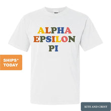 Load image into Gallery viewer, Alpha Epsilon Pi Comfort Colors T-Shirt - AEPI Retro Letters Shirt - Kite and Crest
