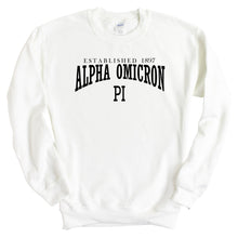 Load image into Gallery viewer, Alpha Omicron Pi Established Sorority Crewneck Sweatshirt - Kite and Crest
