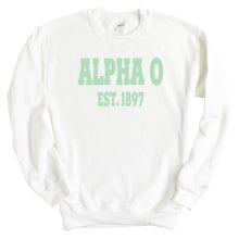 Load image into Gallery viewer, Alpha Omicron Pi Sweatshirt - AOPI Sporty Established Crewneck Sweatshirt - Kite and Crest
