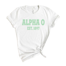 Load image into Gallery viewer, Alpha Omicron Pi T-shirt - AOPI Sporty Established Tee - Kite and Crest
