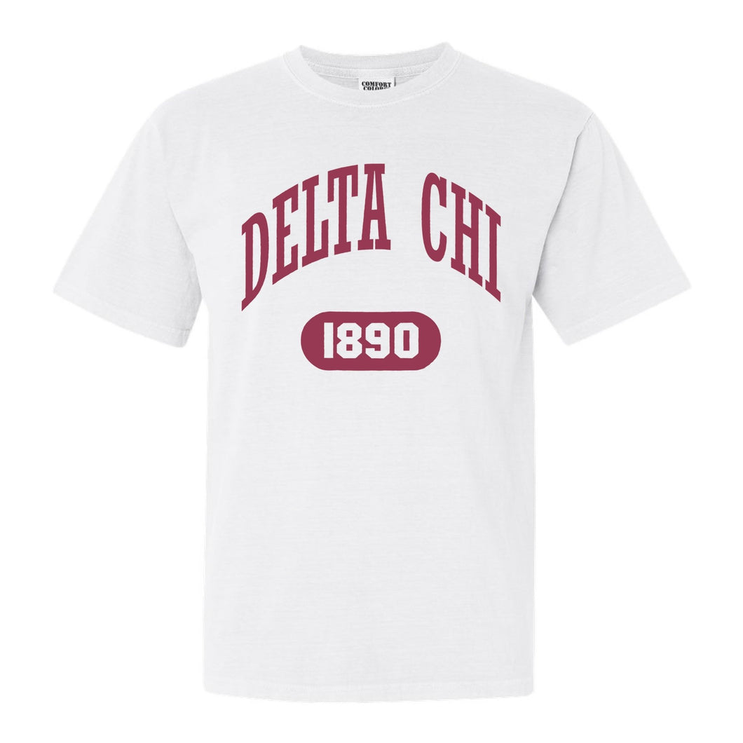Delta Chi Comfort Colors T-Shirt - DCHI Large Athletic Shirt - Kite and Crest