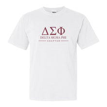 Load image into Gallery viewer, Delta Sigma Phi Comfort Colors T-Shirt - Delta Sig Basic Lined Shirt - Kite and Crest

