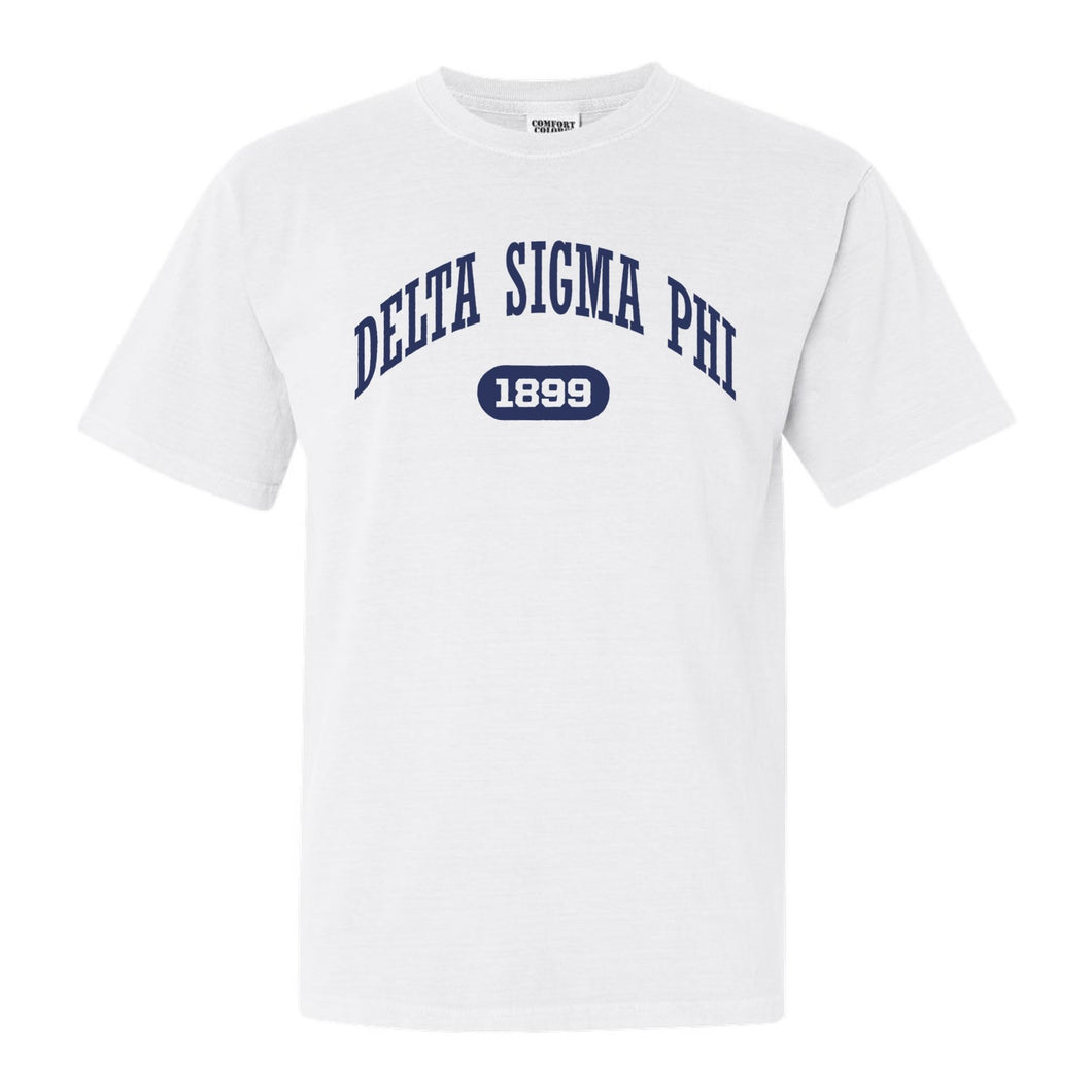 Delta Sigma Phi Comfort Colors T-Shirt - Delta Sig Fraternal Arch Shirt - Kite and Crest