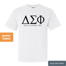 Load image into Gallery viewer, Delta Sigma Phi Comfort Colors T-Shirt - Delta Sig Fraternal Block Shirt - Kite and Crest
