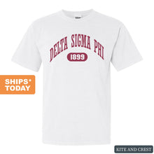 Load image into Gallery viewer, Delta Sigma Phi Comfort Colors T-Shirt - Delta Sig Large Athletic Shirt - Kite and Crest
