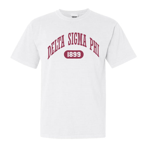 Delta Sigma Phi Comfort Colors T-Shirt - Delta Sig Large Athletic Shirt - Kite and Crest