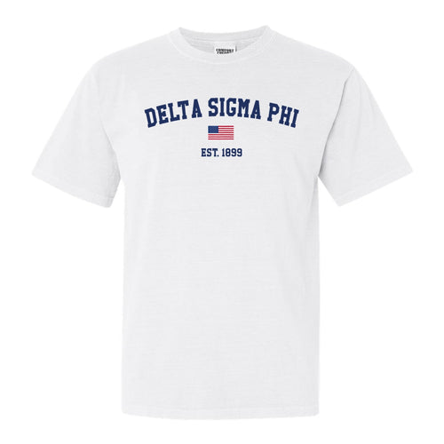Delta Sigma Phi Comfort Colors T-Shirt - Delta Sig USA Flag Shirt - Kite and Crest