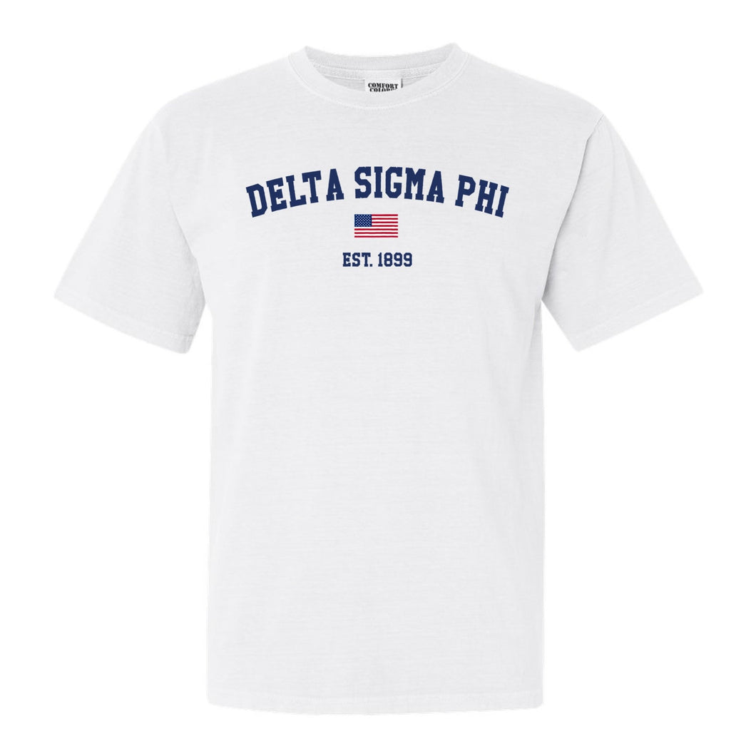 Delta Sigma Phi Comfort Colors T-Shirt - Delta Sig USA Flag Shirt - Kite and Crest