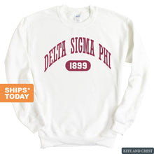 Load image into Gallery viewer, Delta Sigma Phi Sweatshirt - Delta Sig Large Athletic Crewneck Sweatshirt - Kite and Crest
