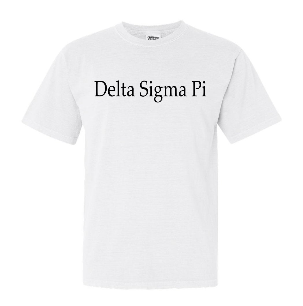 Delta Sigma Pi Clean and Simple Comfort Colors T-Shirt - Kite and Crest