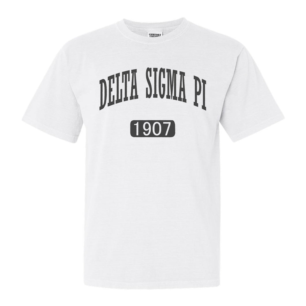 Delta Sigma Pi Weekender Comfort Colors T-Shirt - Kite and Crest