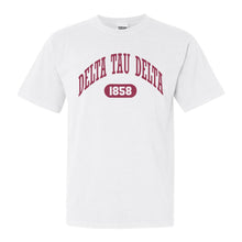 Load image into Gallery viewer, Delta Tau Delta Comfort Colors T-Shirt - Delt Large Athletic Shirt - Kite and Crest
