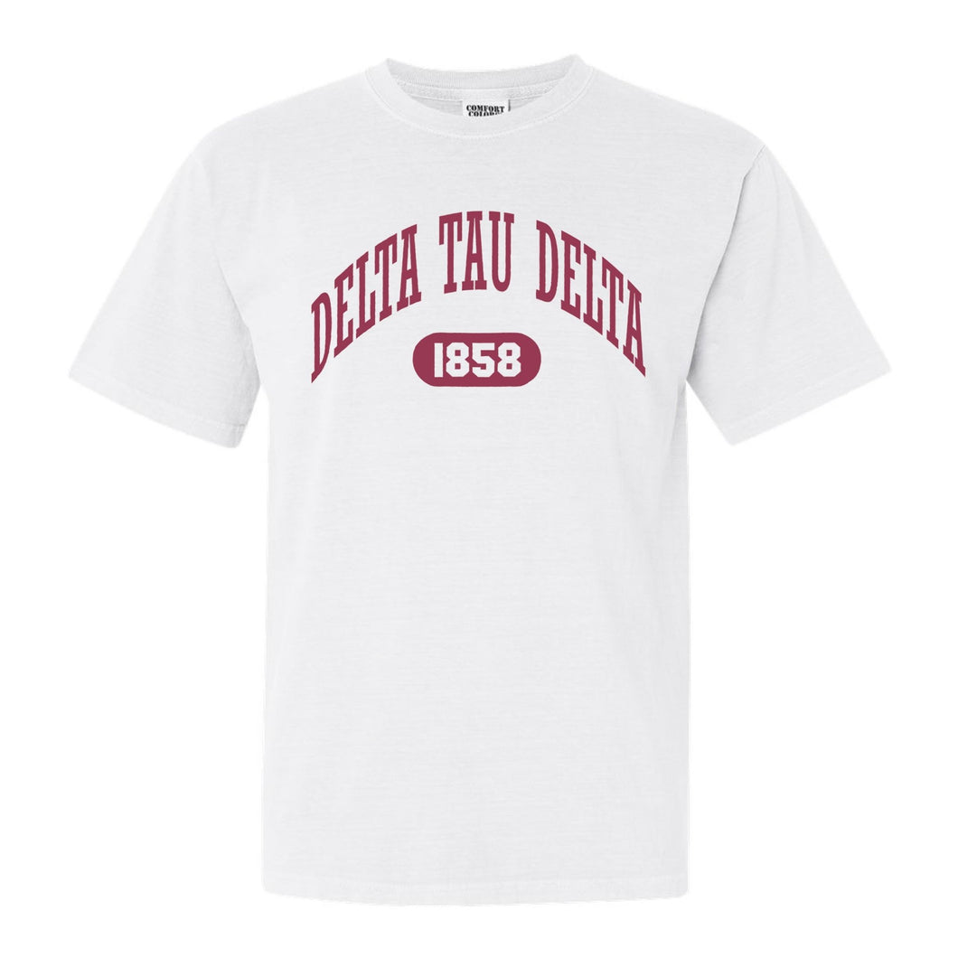 Delta Tau Delta Comfort Colors T-Shirt - Delt Large Athletic Shirt - Kite and Crest