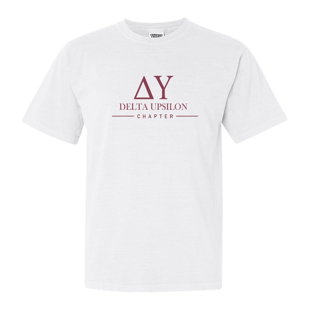 Delta Upsilon Comfort Colors T-Shirt - DU Basic Lined Shirt - Kite and Crest