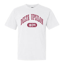 Load image into Gallery viewer, Delta Upsilon Comfort Colors T-Shirt - DU Large Athletic Shirt - Kite and Crest
