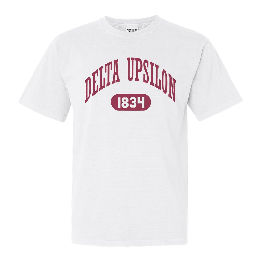 Delta Upsilon Comfort Colors T-Shirt - DU Large Athletic Shirt - Kite and Crest