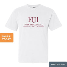 Load image into Gallery viewer, FIJI Comfort Colors T-Shirt - FIJI Basic Lined Shirt - Kite and Crest
