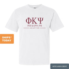 Load image into Gallery viewer, Phi Kappa Psi Comfort Colors T-Shirt - Phi Psi Basic Lined Shirt - Kite and Crest
