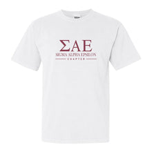 Load image into Gallery viewer, Sigma Alpha Epsilon Comfort Colors T-Shirt - SAE Basic Lined Shirt - Kite and Crest
