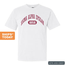 Load image into Gallery viewer, Sigma Alpha Epsilon Comfort Colors T-Shirt - SAE Large Athletic Shirt - Kite and Crest
