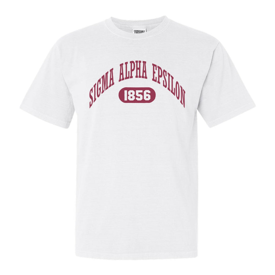 Sigma Alpha Epsilon Comfort Colors T-Shirt - SAE Large Athletic Shirt - Kite and Crest