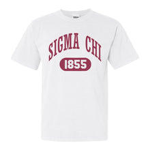 Load image into Gallery viewer, Sigma Chi Comfort Colors T-Shirt - Sig Chi Large Athletic Shirt - Kite and Crest
