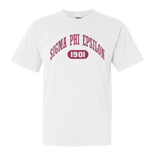 Load image into Gallery viewer, Sigma Phi Epsilon Comfort Colors T-Shirt - Sig Ep Large Athletic Shirt - Kite and Crest
