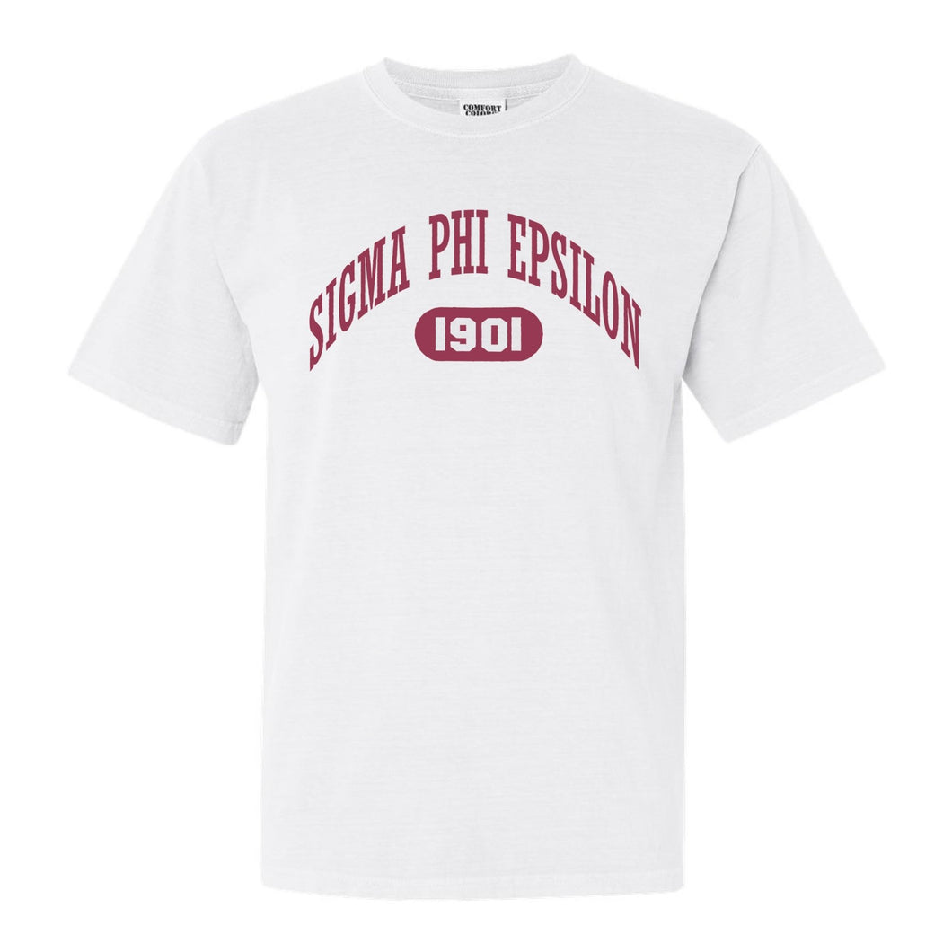Sigma Phi Epsilon Comfort Colors T-Shirt - Sig Ep Large Athletic Shirt - Kite and Crest