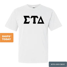 Load image into Gallery viewer, Sigma Tau Delta Keeping it Simple Comfort Colors T-Shirt - Kite and Crest
