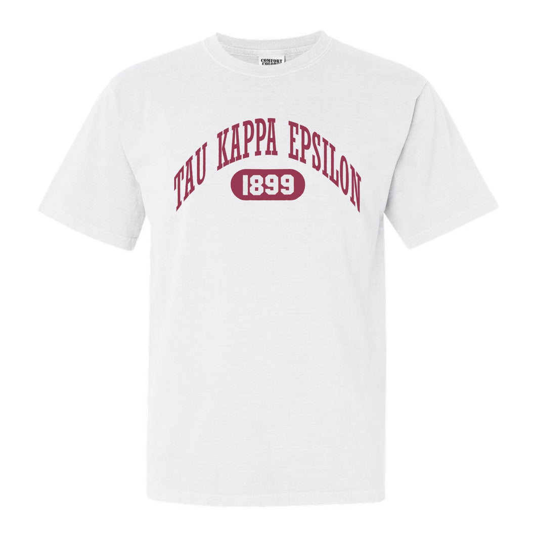 Tau Kappa Epsilon Comfort Colors T-Shirt - TKE Large Athletic Shirt - Kite and Crest
