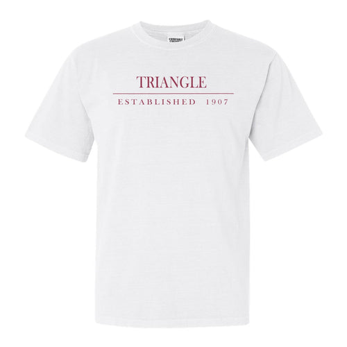 Triangle Old Fashioned Vintage Comfort Colors T-Shirt - Fraternity Tee - Kite and Crest